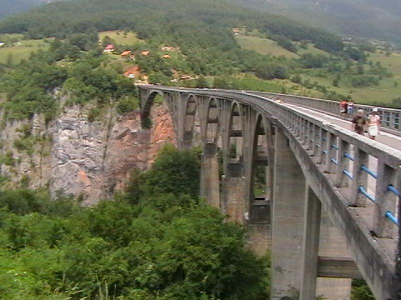 Tara-híd